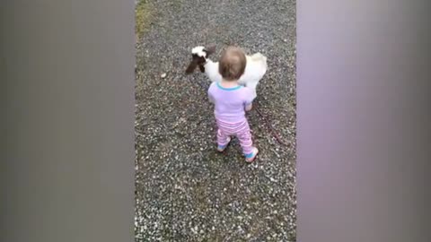 Goats can punish rudeness
