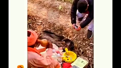 Funny video