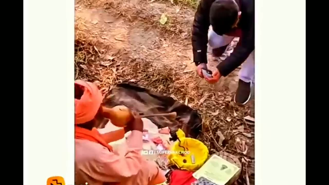 Funny video