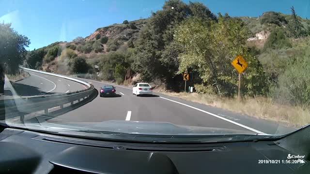 Car Overcorrects on Sweeping Highway Corner