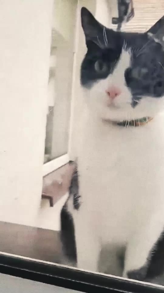 Grażyna throw a cloth