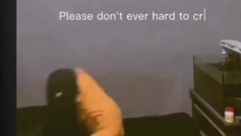 funny video reactions