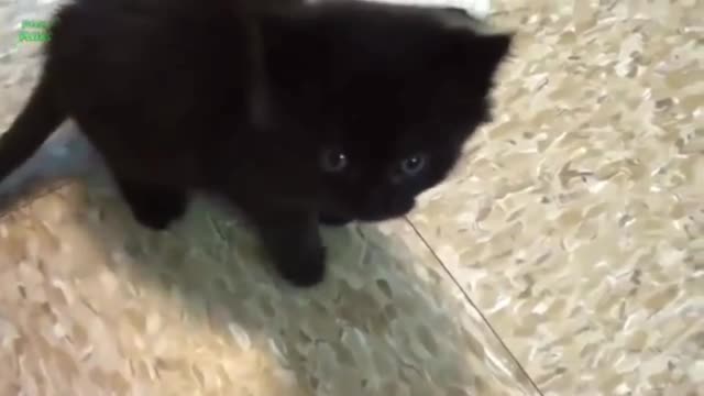 ❤