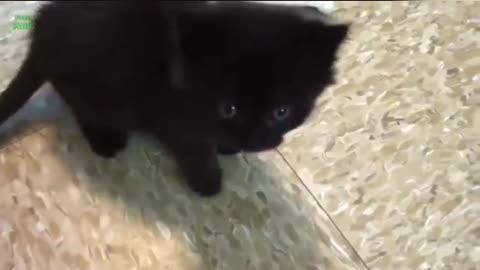 ❤