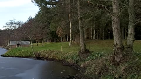 Ice One The Pond