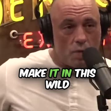 The Anxiety of Pursuing a non traditional life