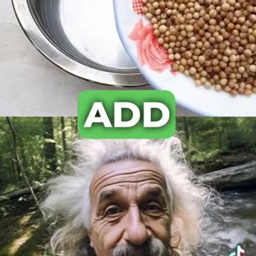 How to lose Belly Fat