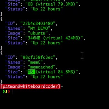 docker: ps -s (size)
