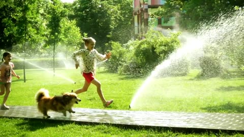 girls-playing-with-dog-in-the-park