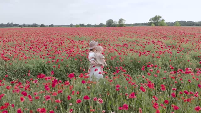 Drone Footage Of Mother Carrying Child While Walking On Flower Field