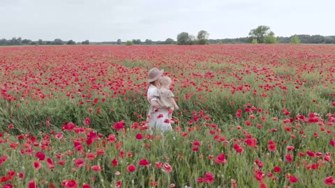 Drone Footage Of Mother Carrying Child While Walking On Flower Field