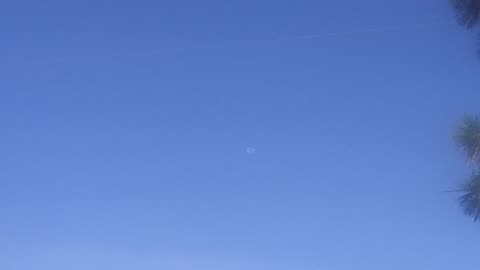 Moon during day