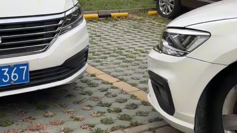 Parking Tricks