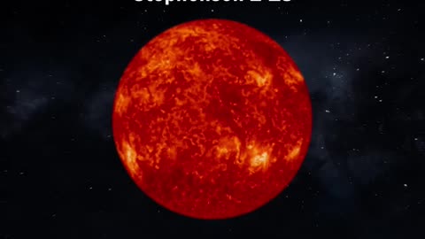 Our Sun is very small !!