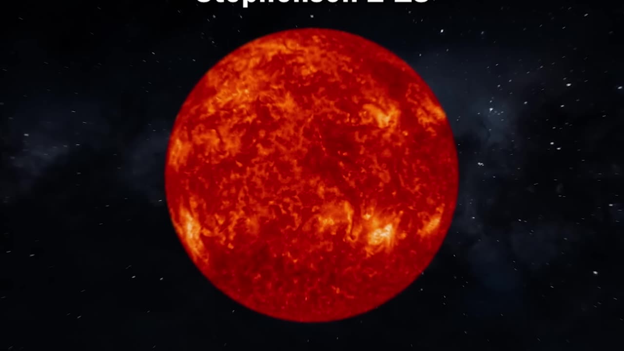 Our Sun is very small !!