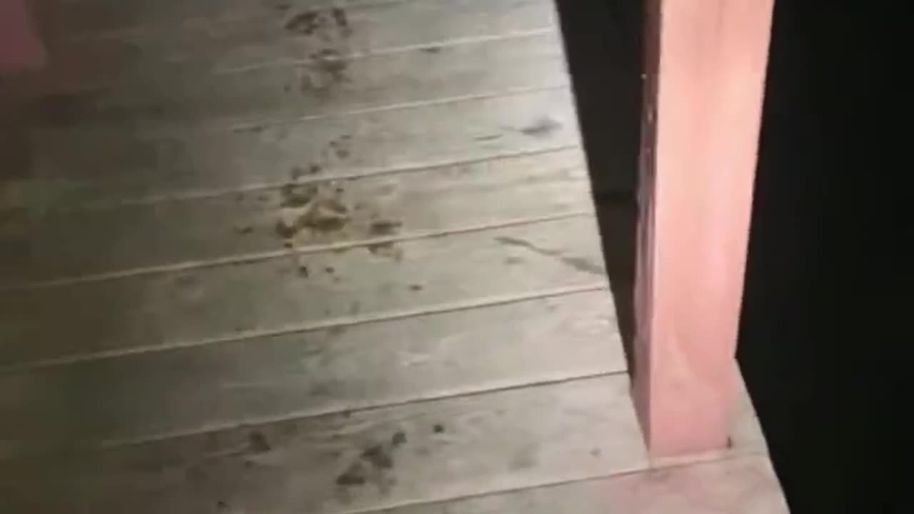He just disappeared