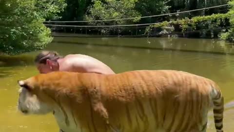 See the unbelievable how he treated his pet🐅 perfectly