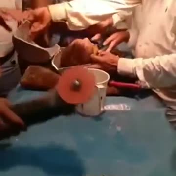 Is this how babies are born?