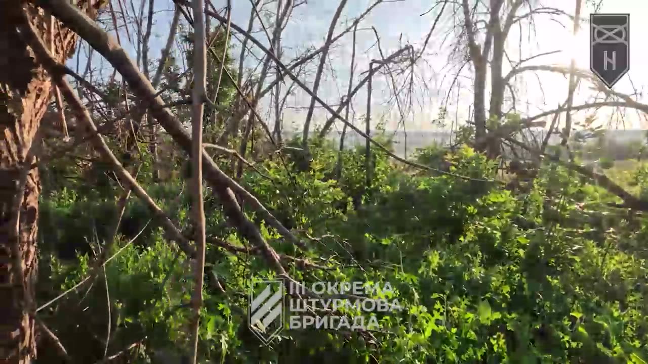 Soldiers from Ukrainian 3rd Assault Brigade Make Contact