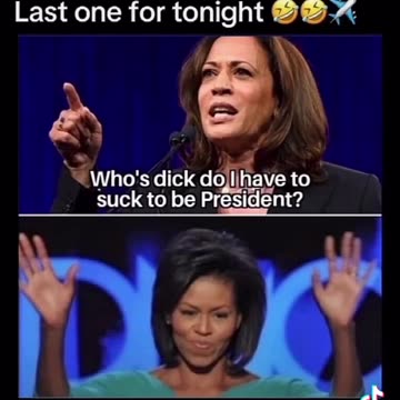 DEI appointed hyena Asks the question