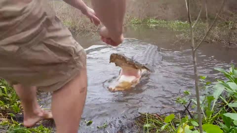 This Temerarious Man Almost said Goodbye To His Hand With A Crocodile
