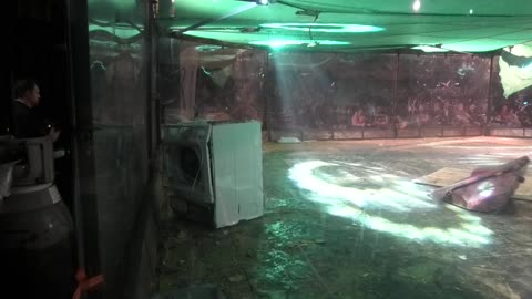 RoboRiots Dublin 2024: Shunt Vs Diotor Vs Axel