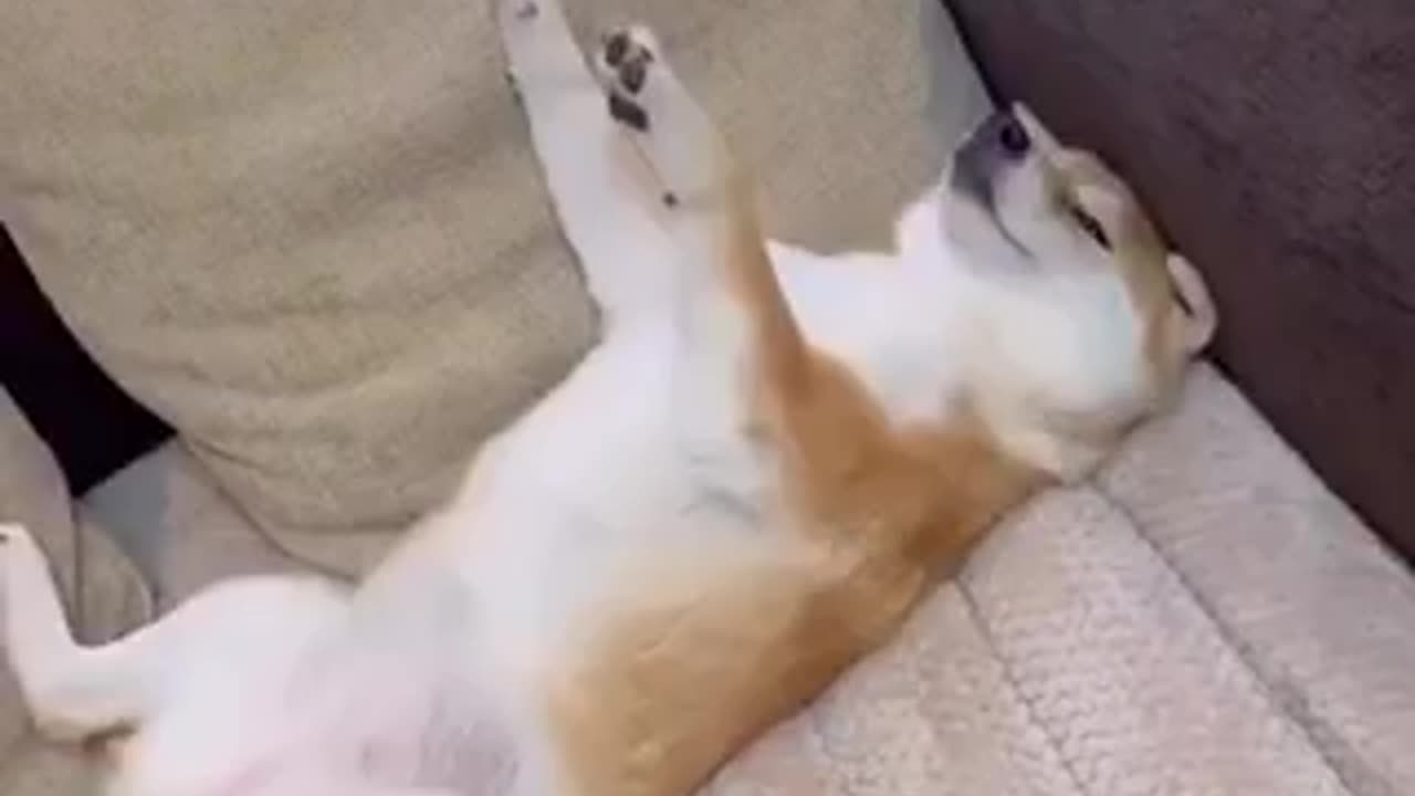 Funny clip