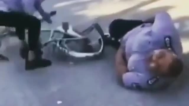 Funny video