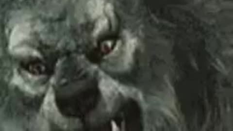 I AM NOT A HAPPY BEAR WITH THE DEMS
