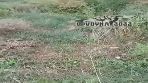 Los ucranianos están avanzando. Y no van a detener su movimiento. Rusnia, es mejor renunciar a el