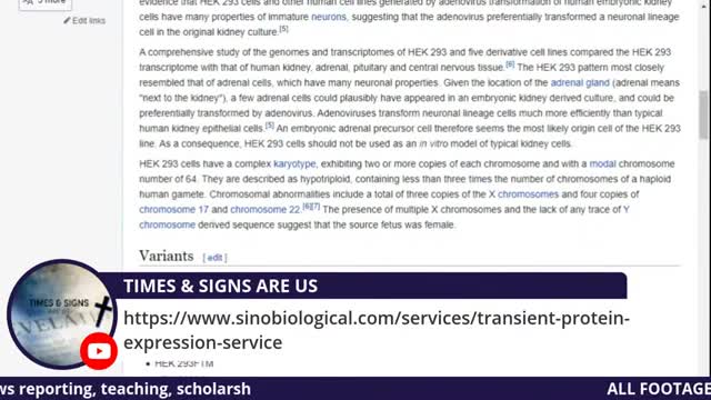 TIMES & SIGNS-SIGNS WE LIVE IN-TIMES & SIGNS ARE US