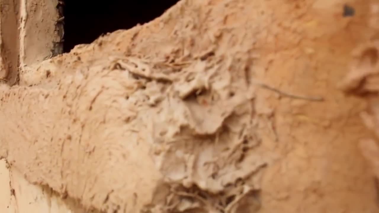 This scene. There is a faintly shocking visual feeling! ​​
