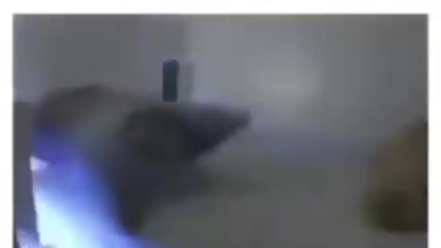 alarm bed