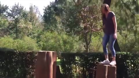 videos para morir de la risa