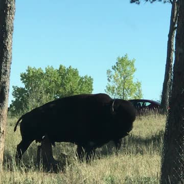 Ahhhhhhh! That feels so good!