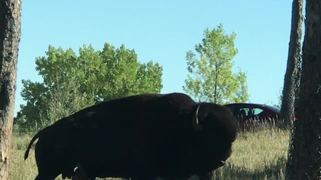 Ahhhhhhh! That feels so good!