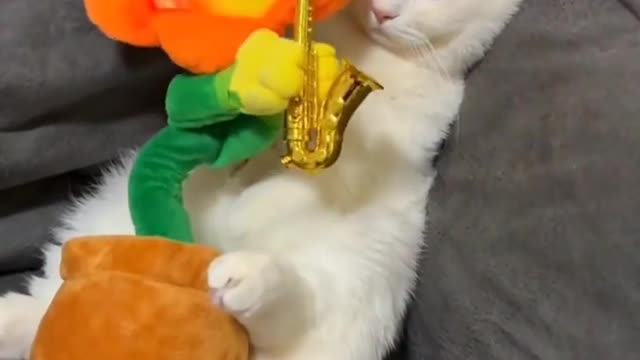 It's for videos like this that I pay for internet