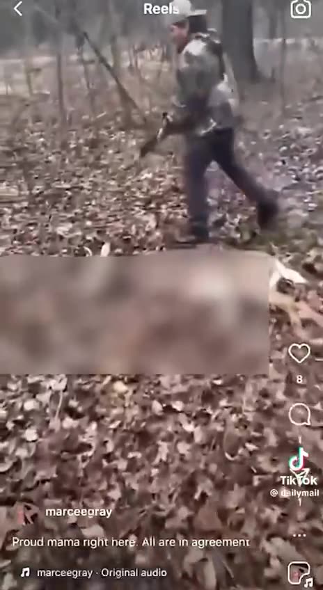 Warning ⚠️ the following video contains images that some viewers might find upsetting