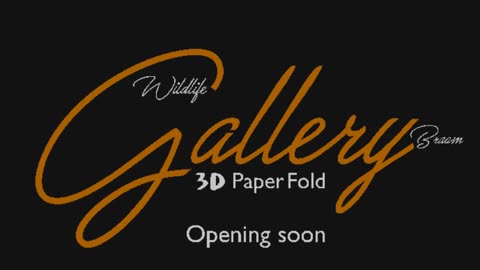 Wildlife 3D Paper Gallery Intro