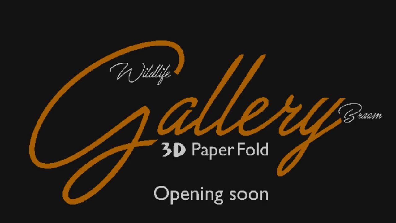 Wildlife 3D Paper Gallery Intro