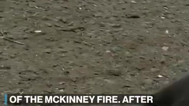 Puppy rescued from ruins of McKinney Fire