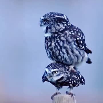 Beautiful couple loving each other,love making