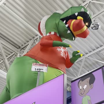 Dina sour carries a gift