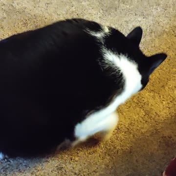 Eating Kroger Spaghetti, Dbn, MI, 10/8/23