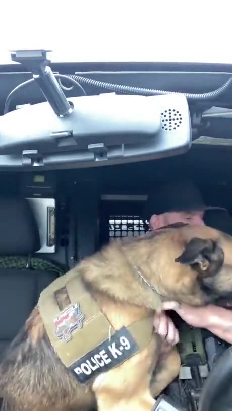 This girl fight with police