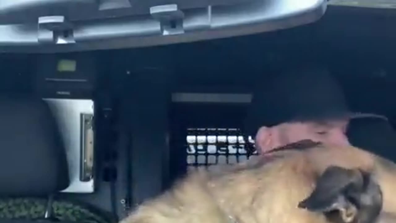 This girl fight with police