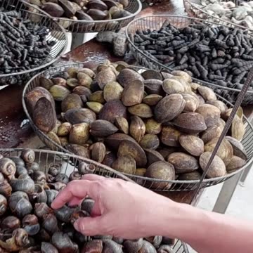 Street Market! Seashell food #travelvlogs #foryou #food