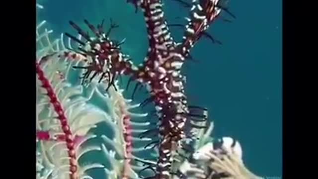 Time with God - December 13