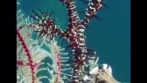 Time with God - December 13