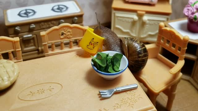 Tiny snail eats breakfast in tiny kitchen